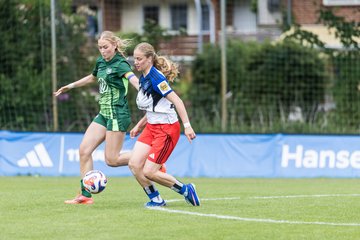 Bild 219 - wBJ HSV Leistungsvergleich